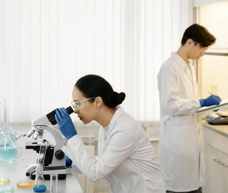Zertifizierte wissenschaftliche Übersetzungen