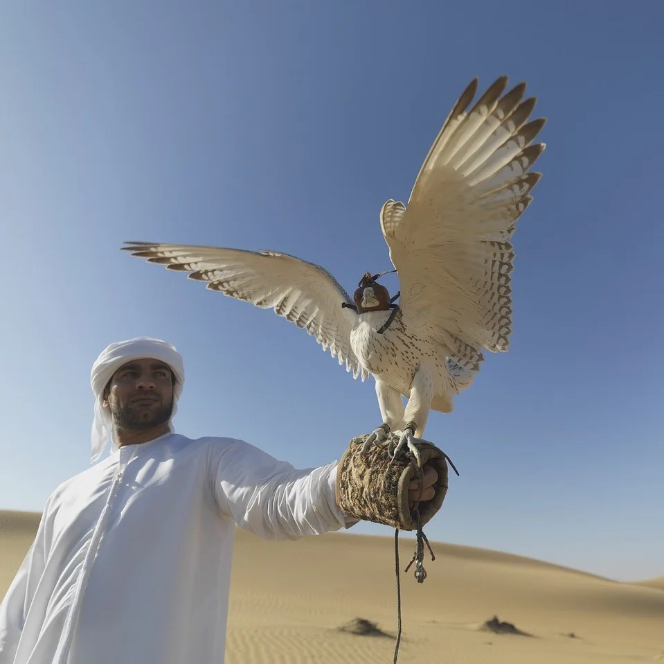 Arabische Untertitel-Übersetzungsdienste