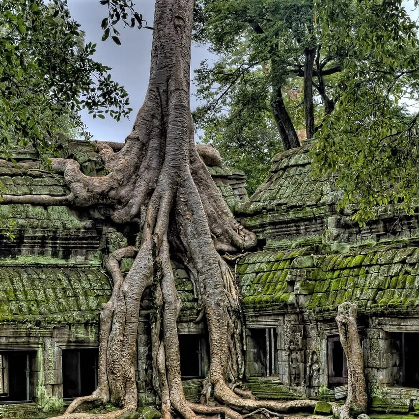 Khmer-Geschäftsdokumente, die wir übersetzen