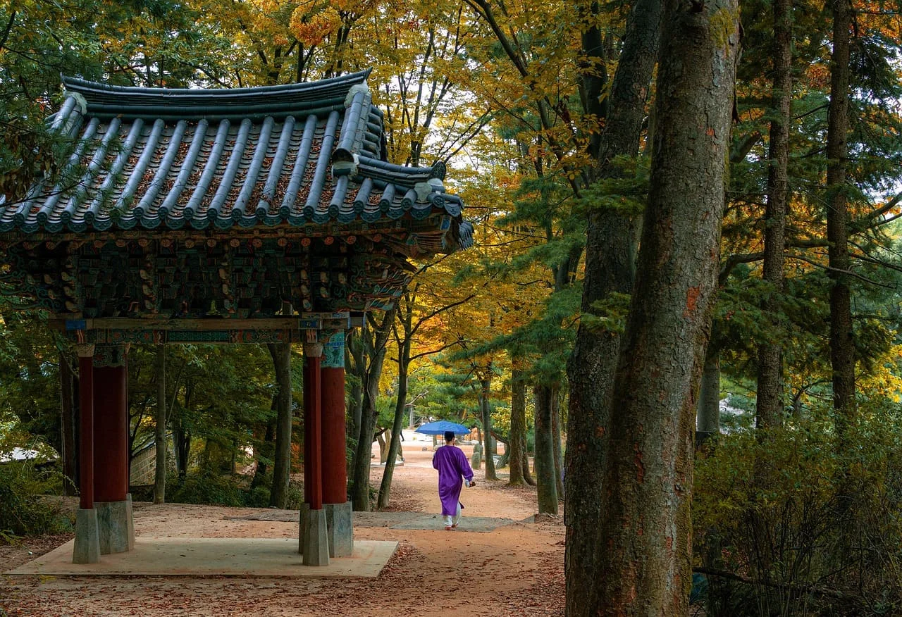 Koreanisch-Deutsch und Deutsch-Koreanisch Übersetzungen