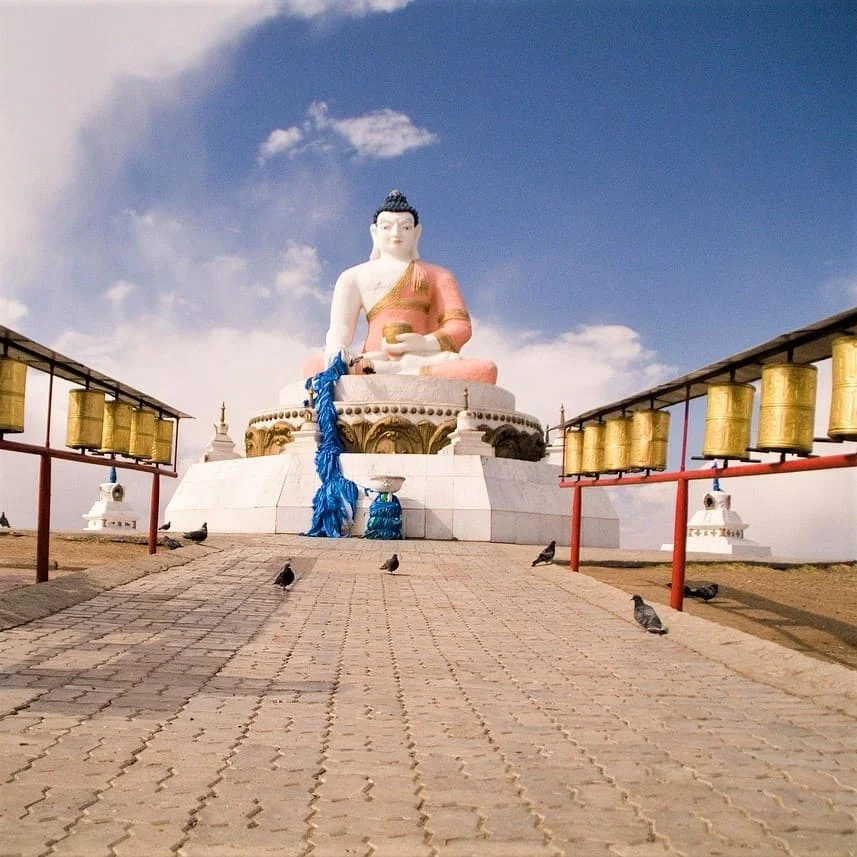 Mongolische juristische Übersetzungen