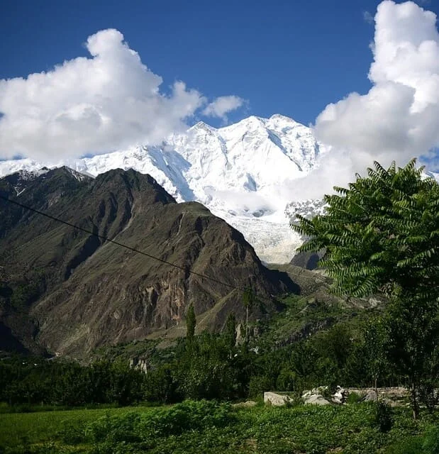Pashto-Übersetzungen von PoliLingua