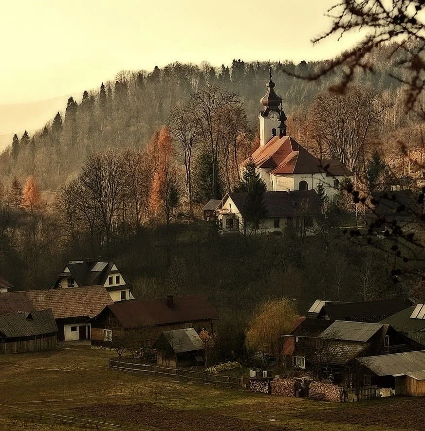 Polnisch zu Deutsch und Deutsch zu Polnisch Übersetzungen