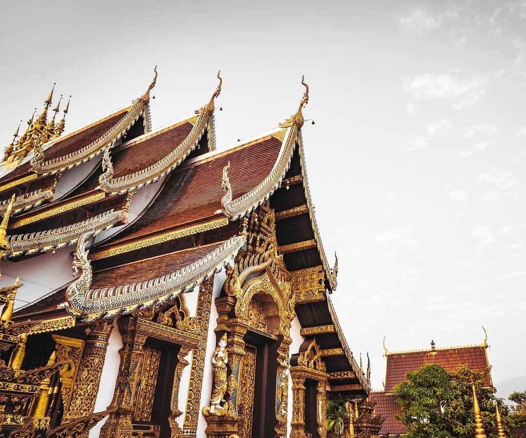 Thai-Medizinübersetzungsdienste