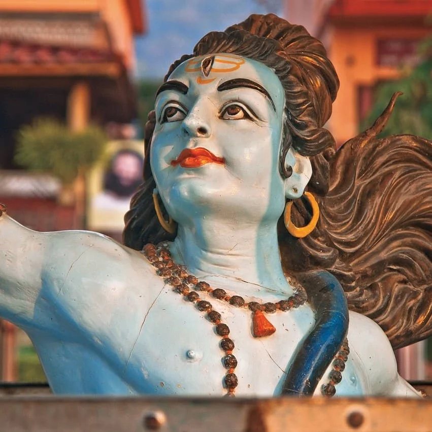 Bhojpuri Übersetzungsdienste