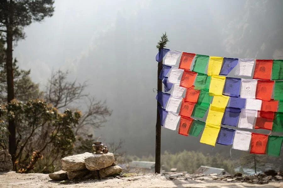 Die linguistische Entwicklung des Nepali