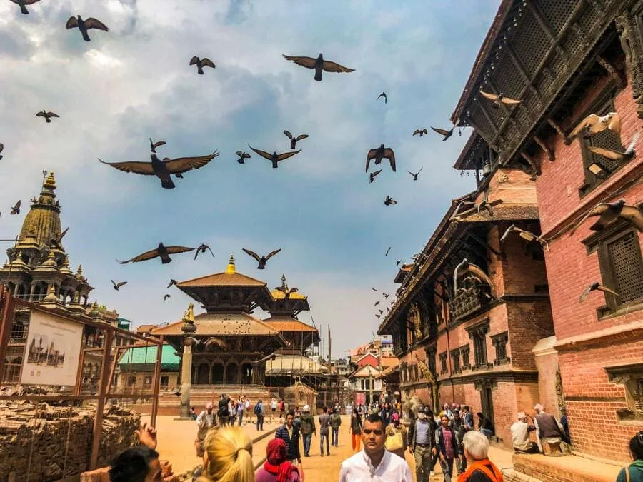PoliLinguas Nepali Übersetzungsdienste