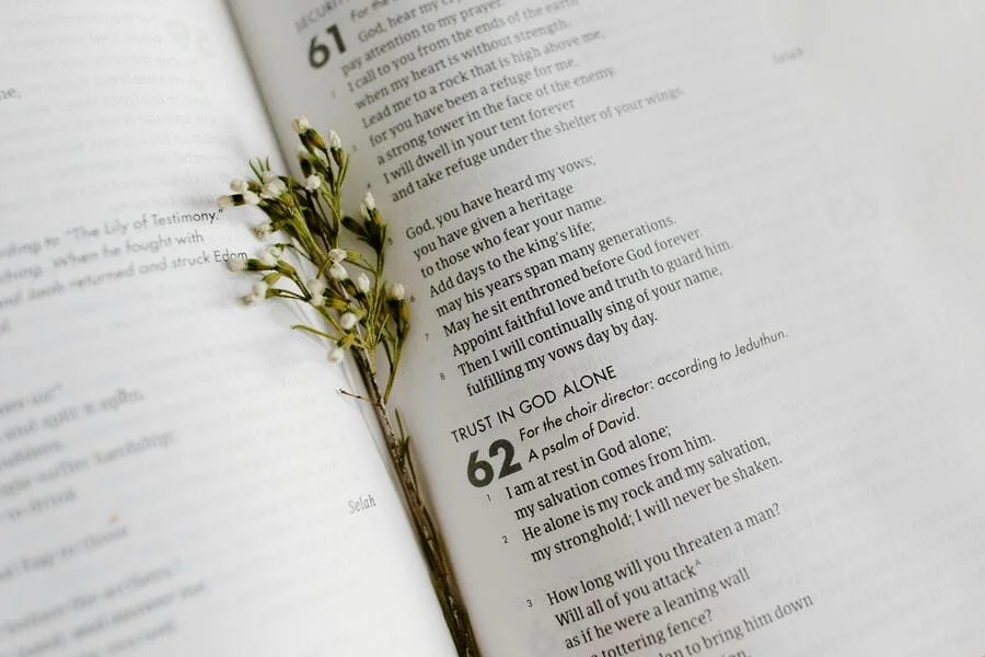 Ist Neues Leben. Die Bibel (NLB) die beste Version aller Zeiten?