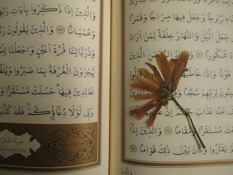 Farsi Sprache Fakten und Übersetzungsleitfaden PoliLingua